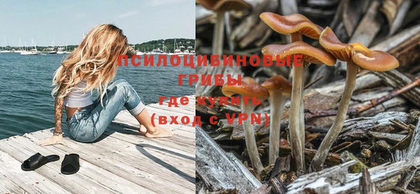 шишки Алексин