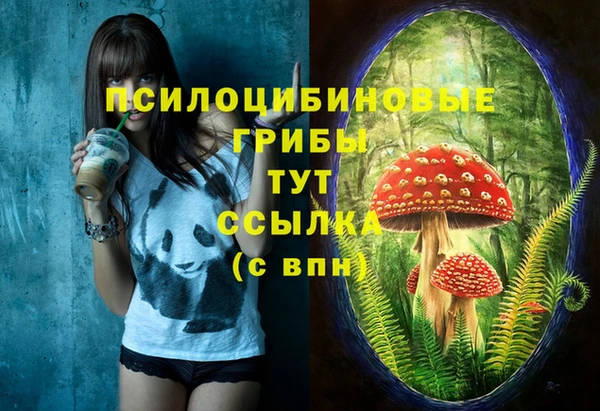 хмурый Алексеевка