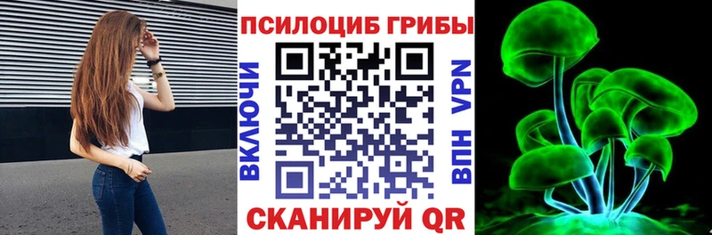 hydra зеркало Чаплыгин Псилоцибиновые грибы Cubensis
